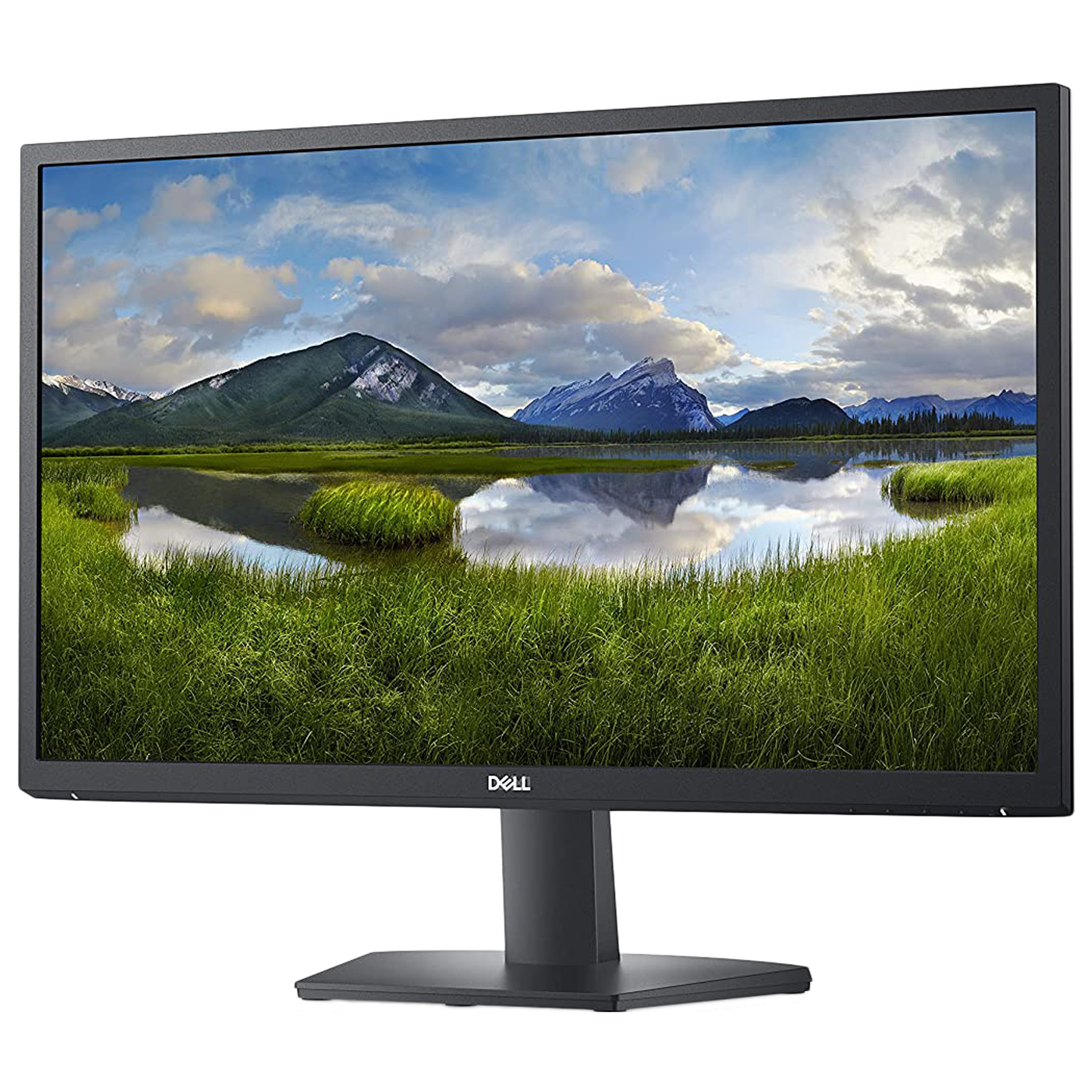 Dell SE2422H 60.96cm (24 Inches) Full HD Flat Panel Monitor (AMD FreeSync Technology, VGA + HDMI, 75 Hz, 210-AZGV, Black)_3