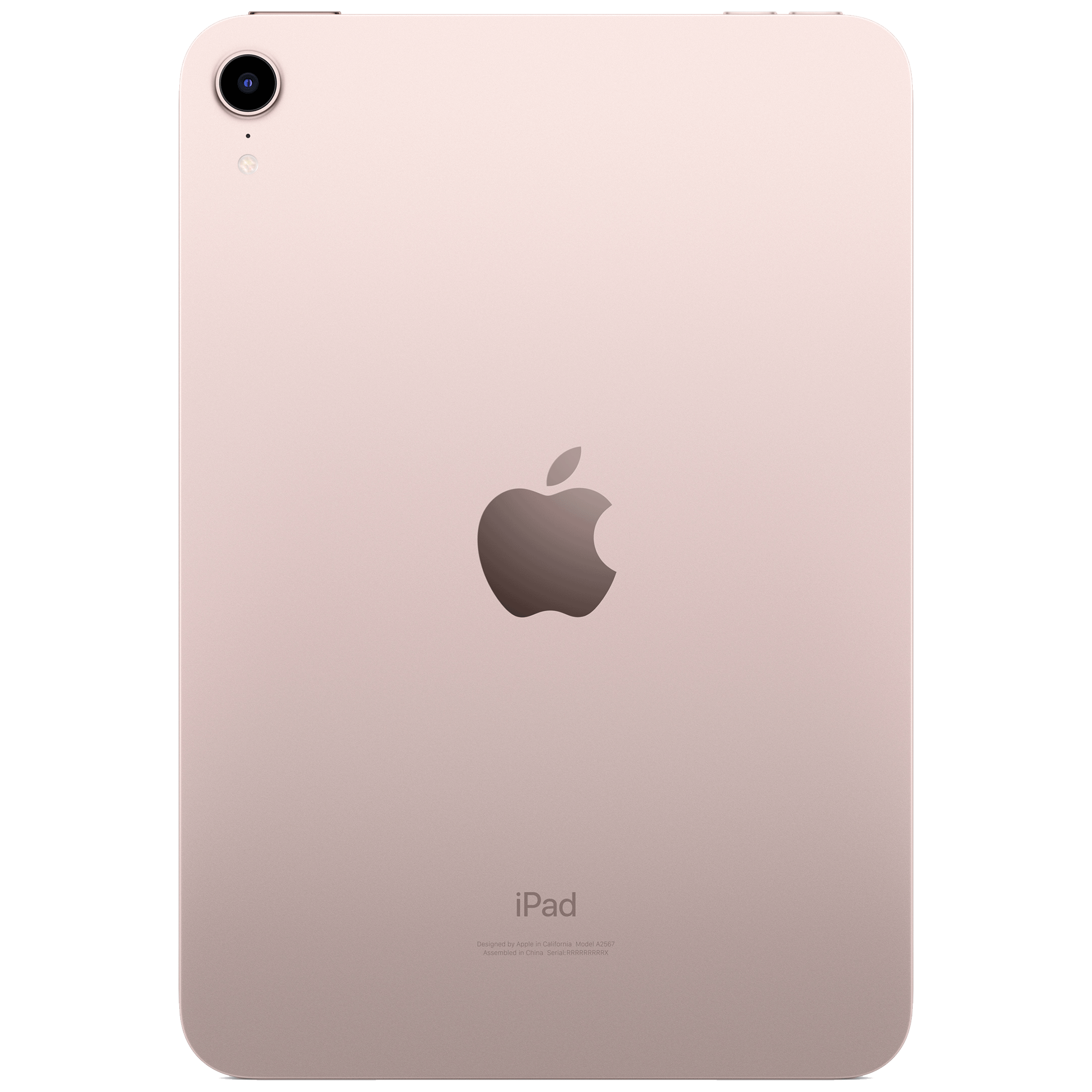 Apple iPad mini 6th Generation Wi-Fi (8.3 Inch, 256GB, Pink, 2021 model)_2