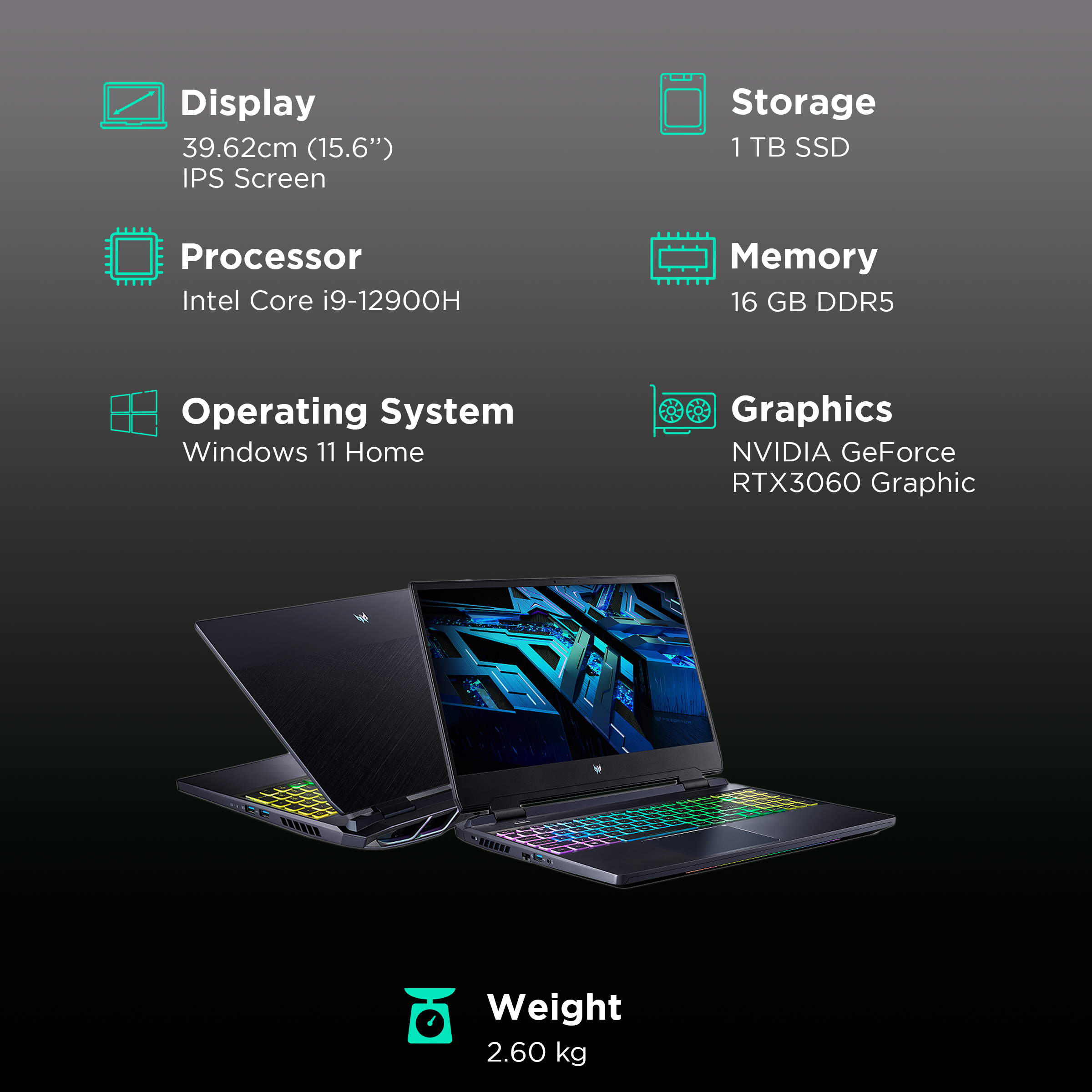 Acer Predator Helios 300 Intel Core i9 12th Gen (15.6 inch, 16GB, 1TB, Windows 11, NVIDIA GeForce RTX 3060, QHD IPS Display, Black, NH.QGPSI.007)_3