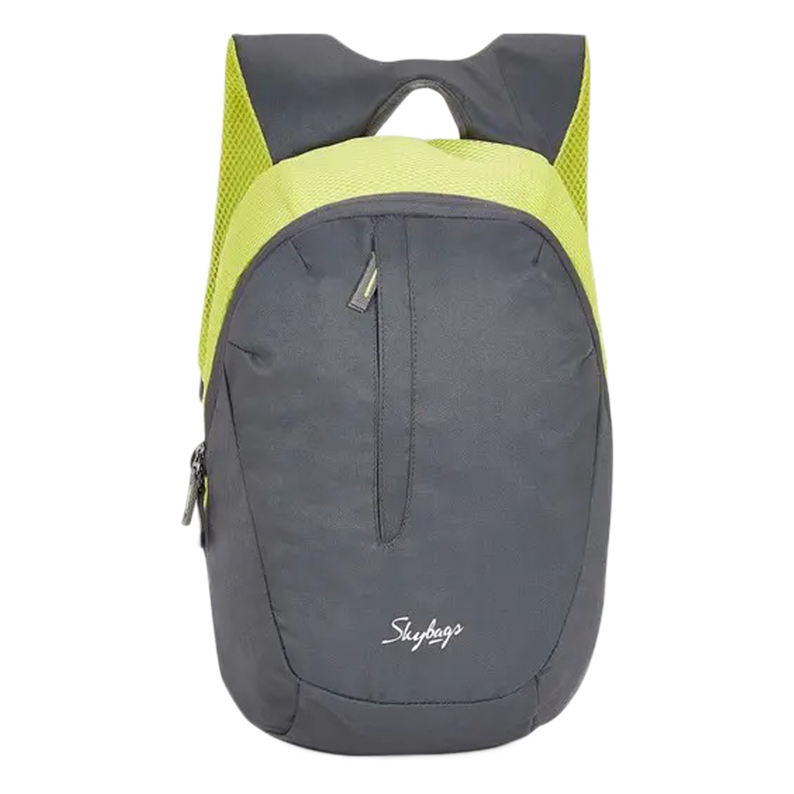 Skybags Zuke Backpack (Padded Shoulder Strap, BPZUK2GRY, Grey)
