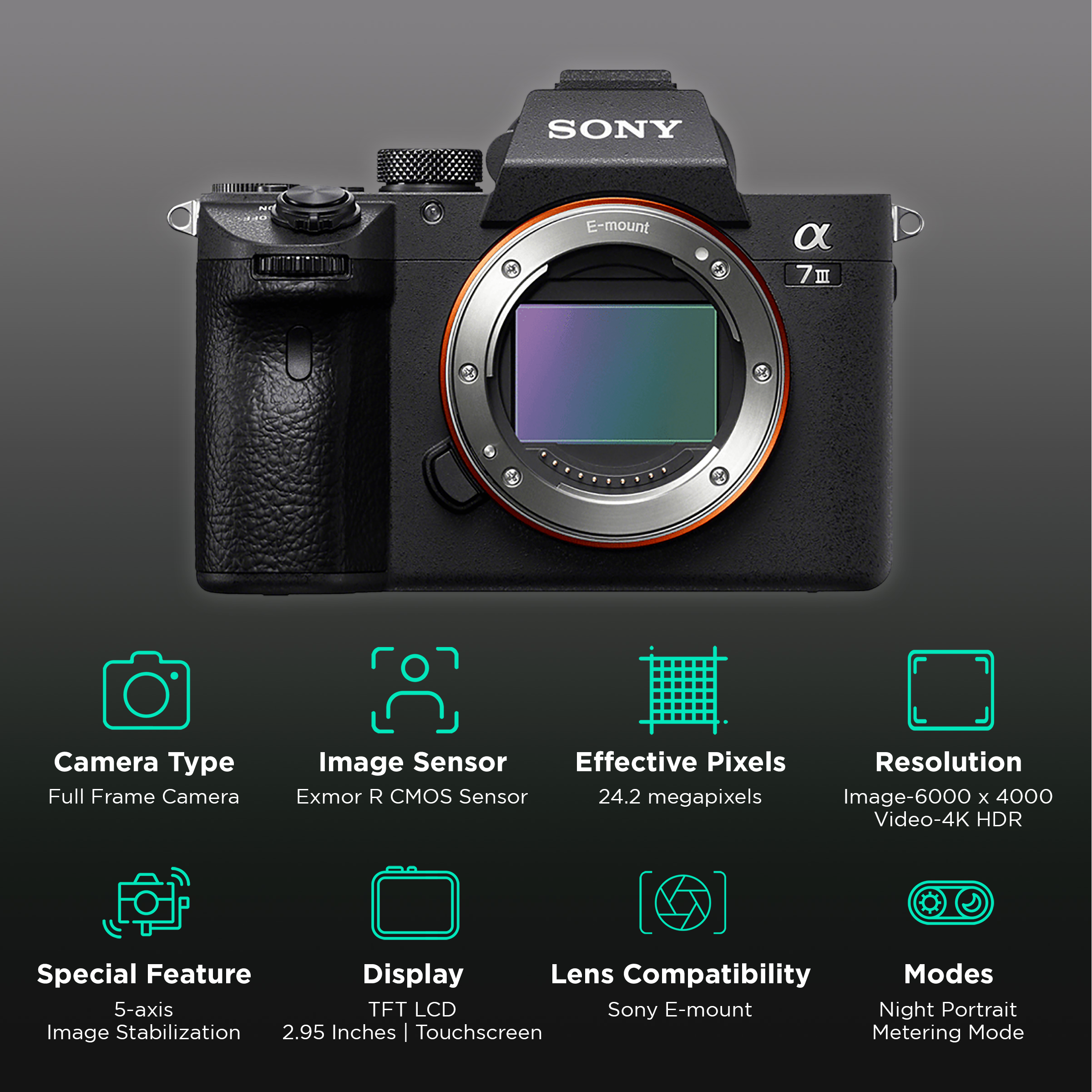 Buy SONY Alpha 7 III 24.2MP Full Frame Camera (Body Only, 35.6 x 23.8 mm  Sensor, Tiltable Screen) Online – Croma