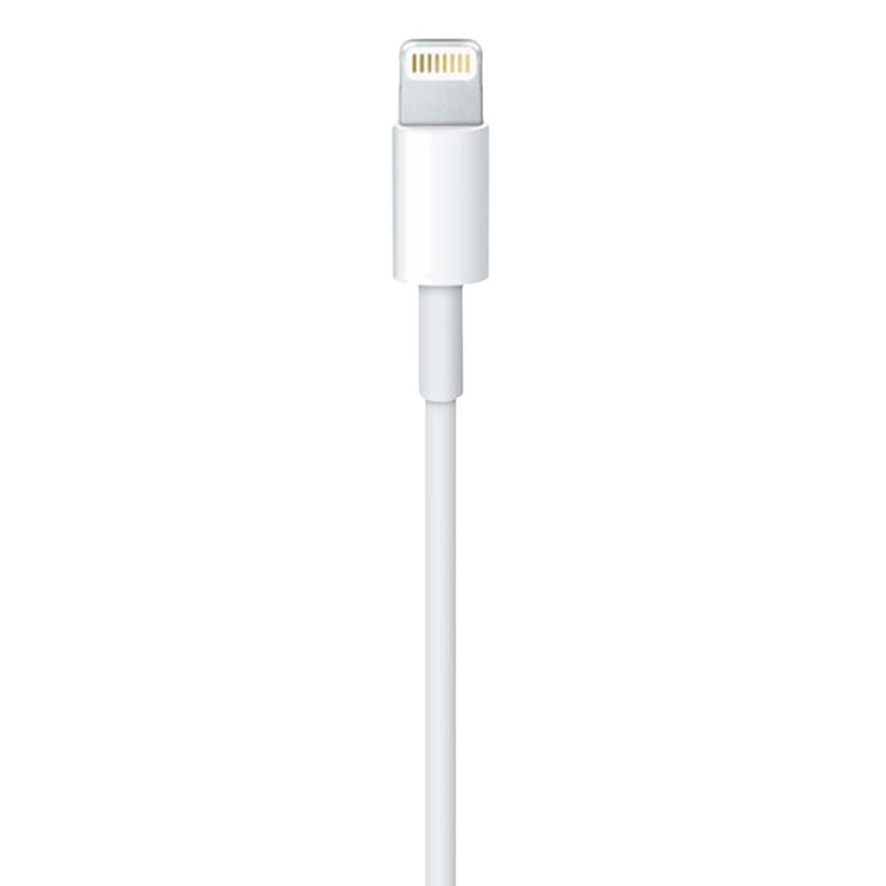 Buy Apple Type A to Lightning 3.3 Feet (1M) Cable (Sync and Charge