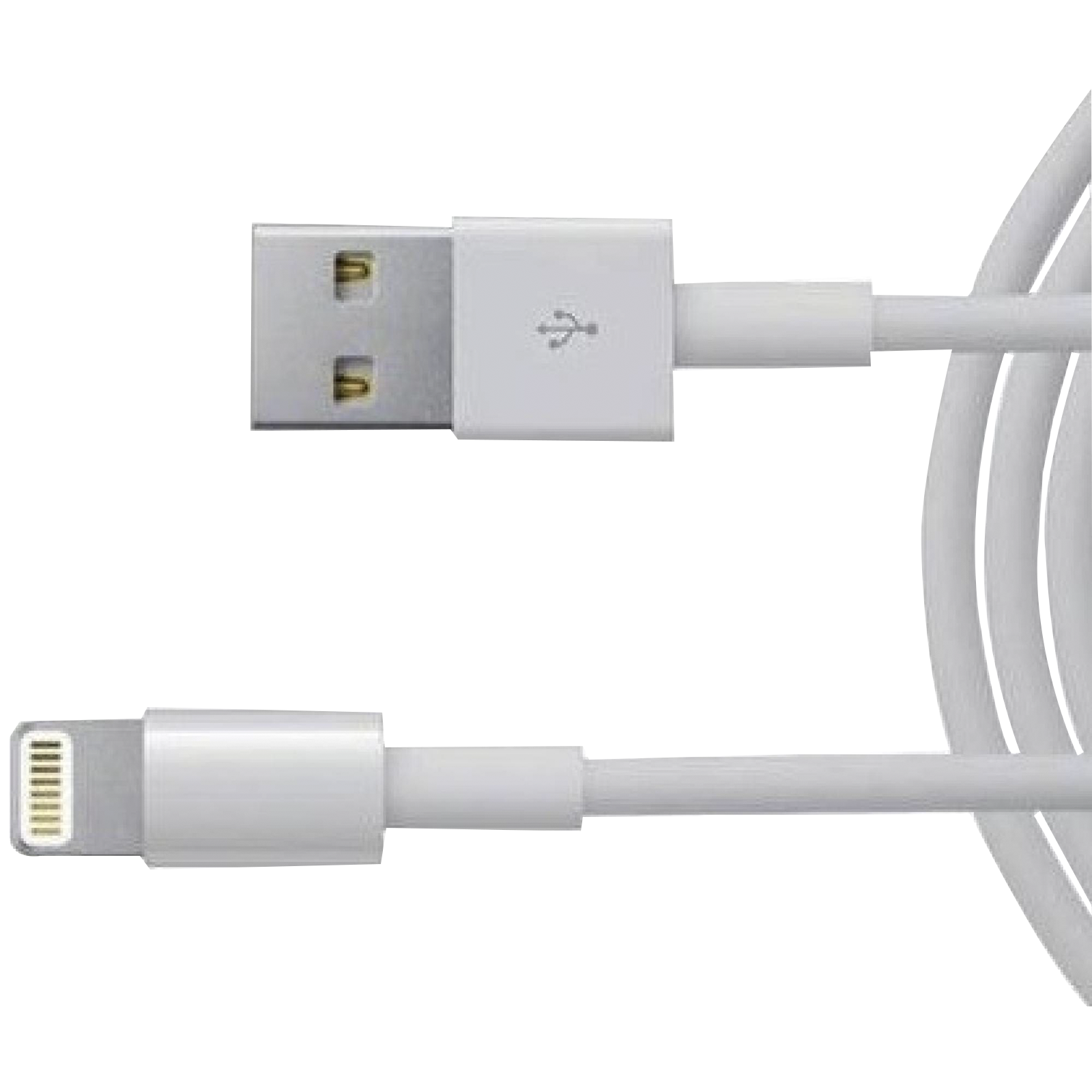 Apple Type A to Lightning 3.3 Feet (1M) Cable (Sync and Charge, White)_1