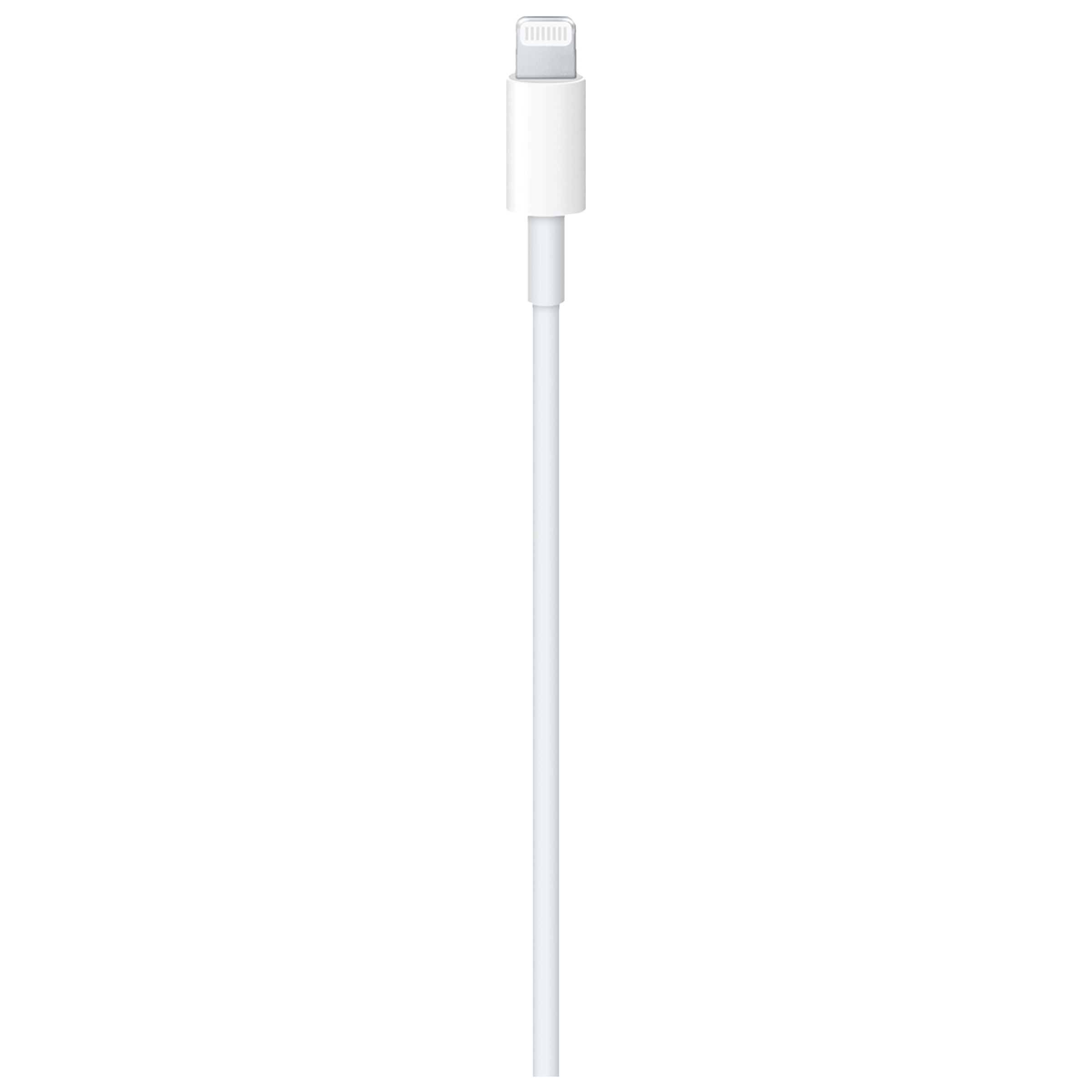 Buy Apple Type C to Lightning 3.3 Feet (1M) Cable (Sync and Charge