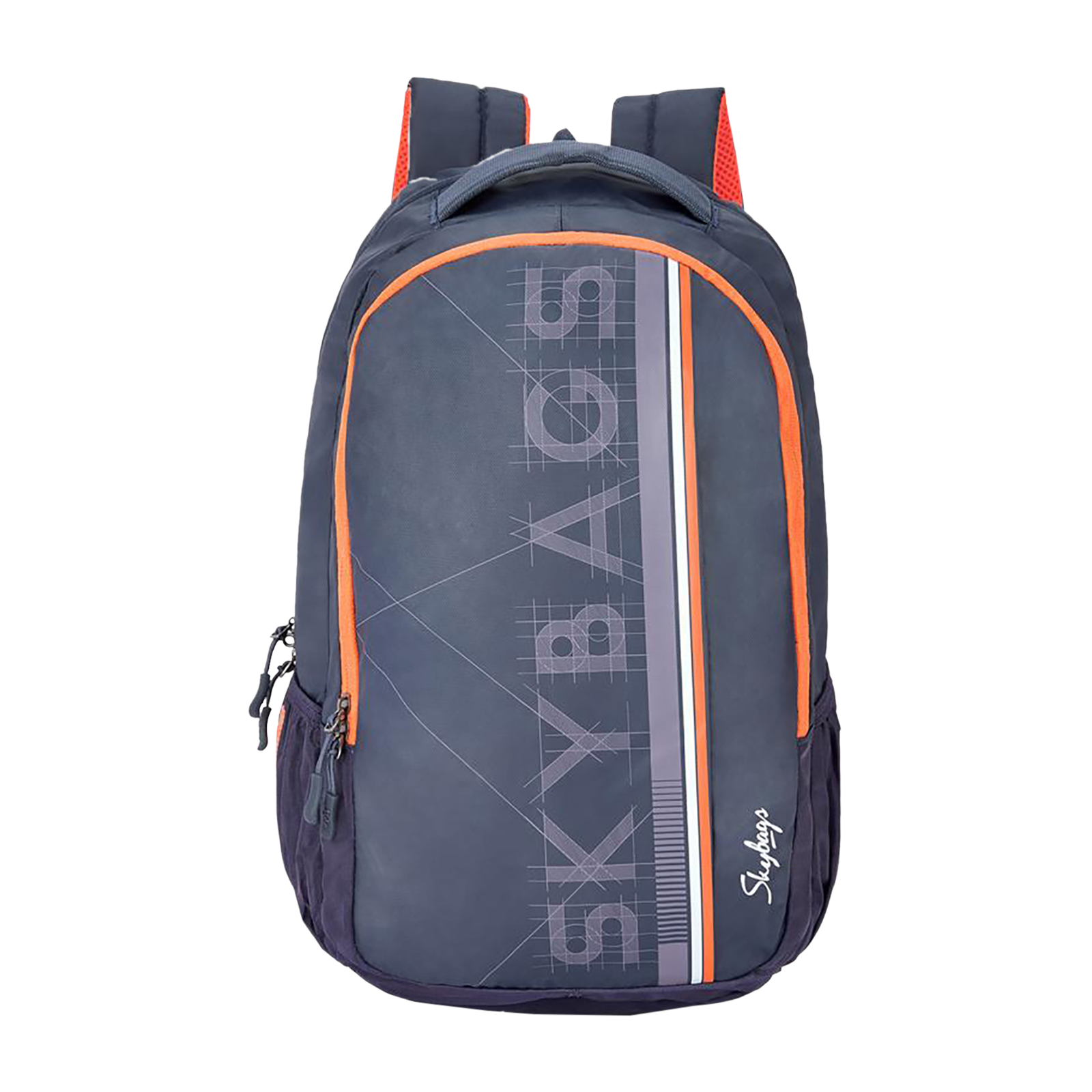 Buy Skybags Campus 05 Polyester Laptop Backpack for 15.6 Inch Laptop (30 L,  With Rain Cover, Navy Blue) Online Croma
