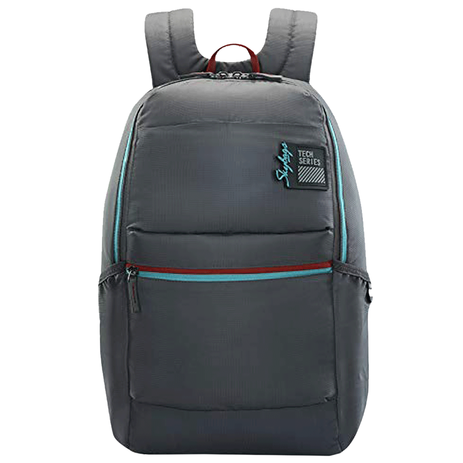 Skybags Yolo Polyester Laptop Backpack for 15.6 Inch Laptop (25 L, Water Resistant, Grey)_1