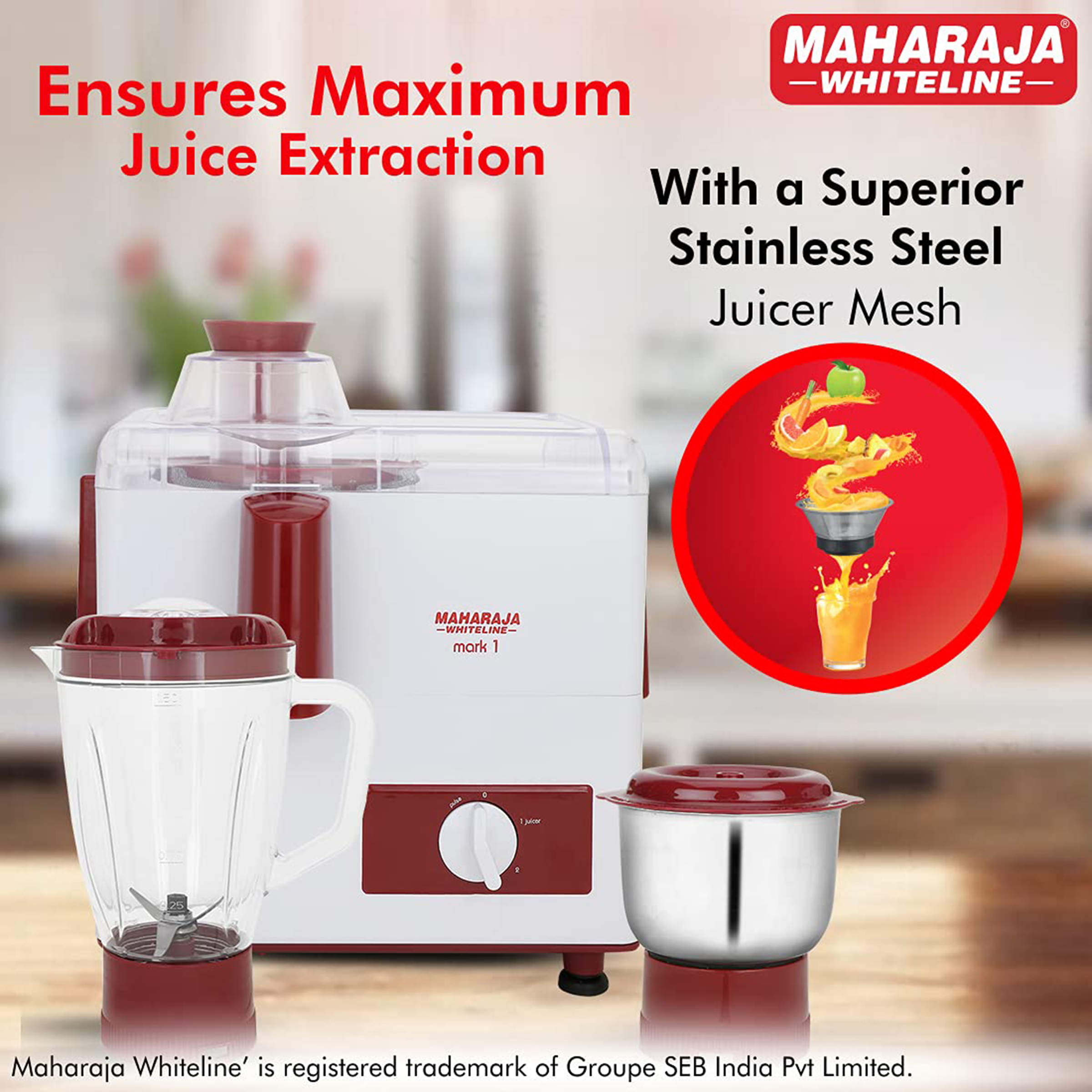 Buy Maharaja Whiteline Mark 1 450 Watt 2 Jars Juicer Mixer Grinder  (Multi-Functional Blade System, White/Red) Online - Croma