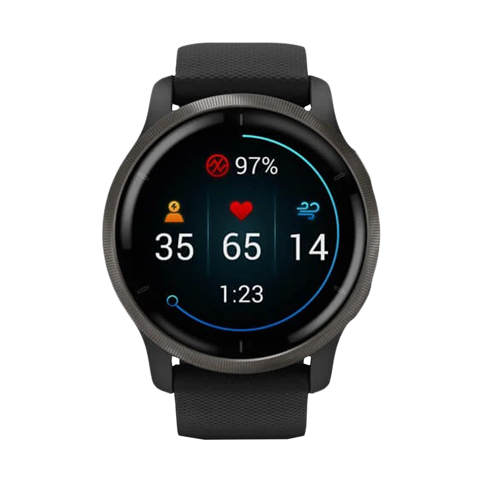 

GARMIN Venu 2 Smartwatch (GPS, 33mm) (Body Battery Energy Monitoring, 010-02430-71, Black, Silicone Strap)