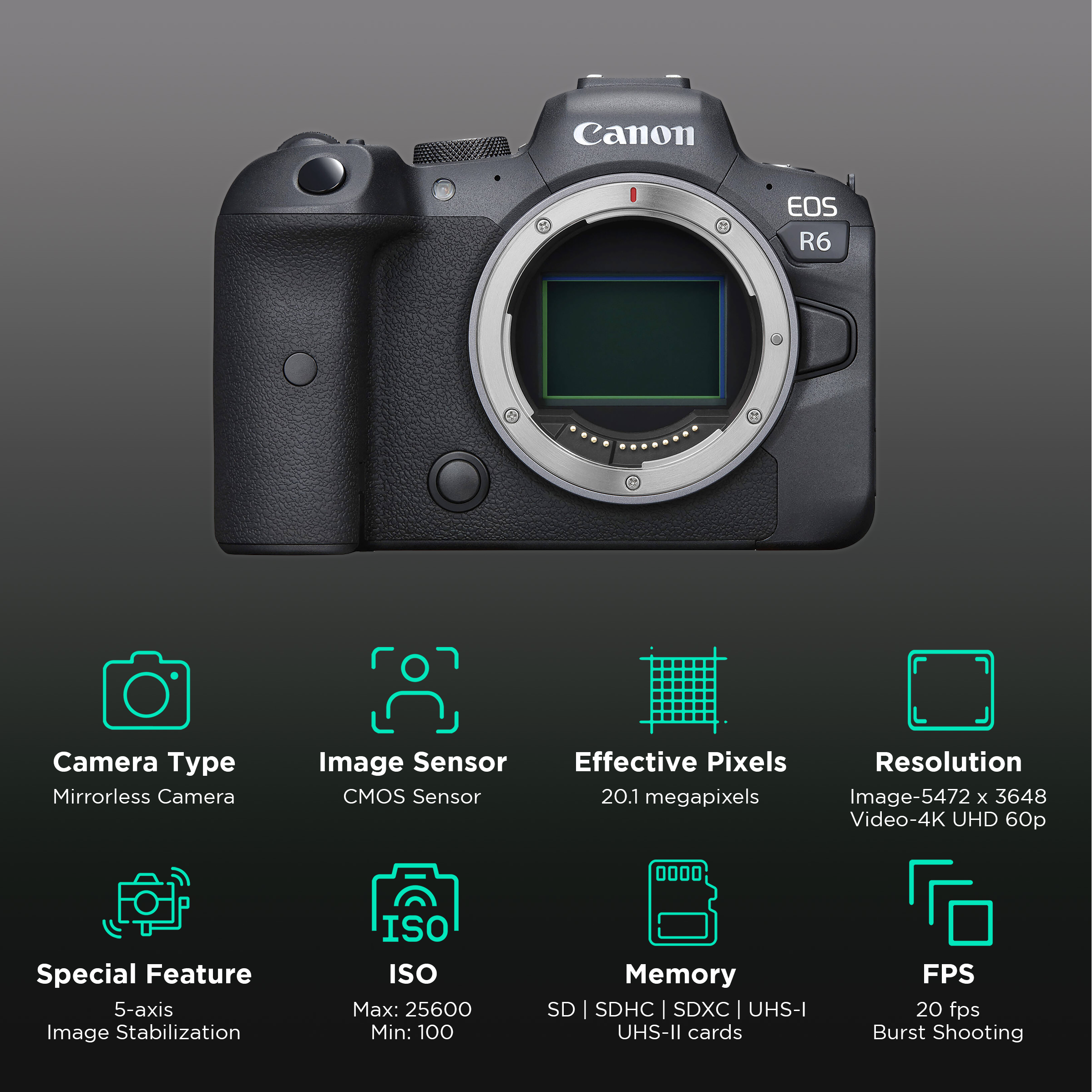 Canon EOS R6 20.1 Megapixel Mirrorless Camera Body Only 