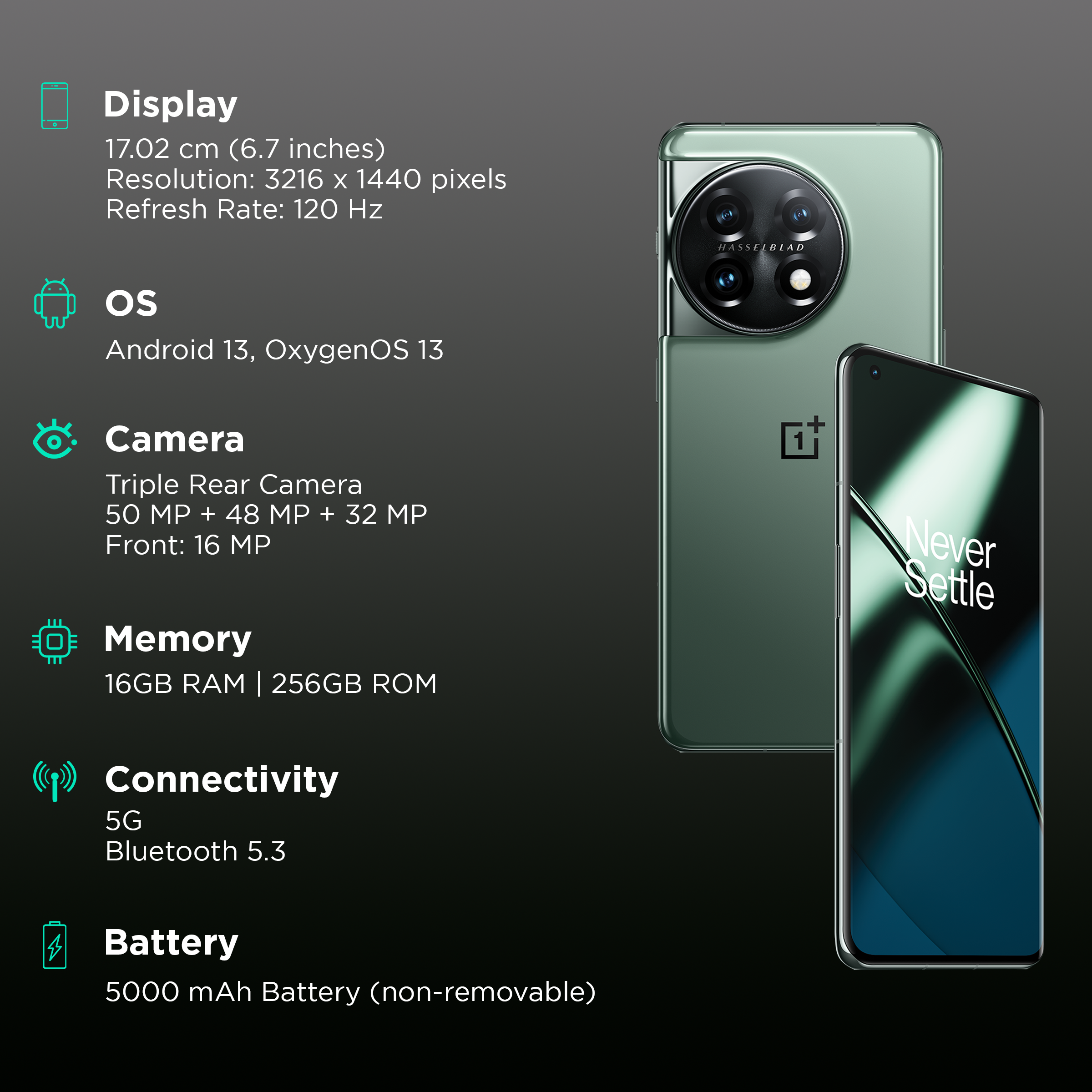 OnePlus 11 5G (Eternal Green, 16GB RAM, 256GB Storage)